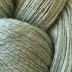 Pistachio